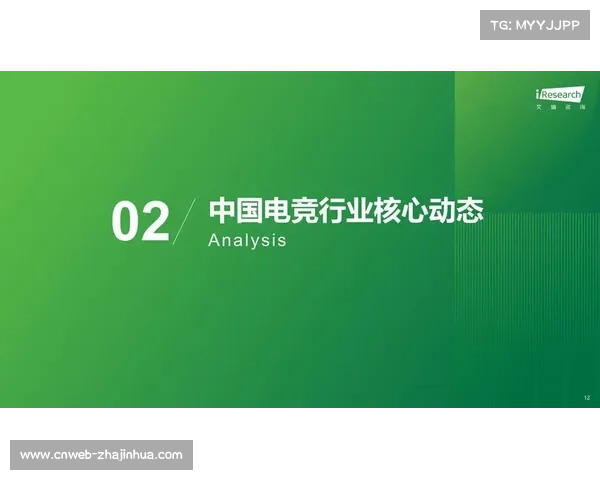 电竞适老化趋势加速 银发玩家增速年均达37% 电竞适老化趋势加速 银发玩家增速年均达37%